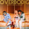 About Overbodig Song