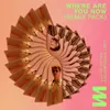 Where Are You Now  (Deluxe Mix)