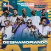 About Desnamorando (Ao Vivo) Song