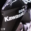 About Kawasaki Song