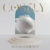 CostlyAcoustic