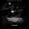 About Traumatized Song