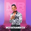 About Ngiyathandaza Song