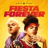 About Fiesta Forever Song