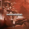 WERDEGANG