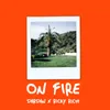 About ON FIRE Song