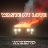 About Waste My Love Song