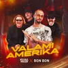 About VALAMI AMERIKA 2022 Song