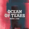 About Ocean Of Tears Song