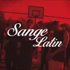 About Sange Latin Song