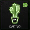 Kaktus