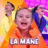 About La Mané Song