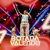 About Botada Valendo Ao Vivo Song