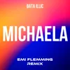 About MichaelaEmi Flemming Remix Song