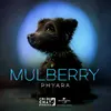 Mulberry