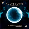 About Hokus Pokus Song