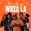 About Woza La Song