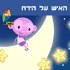 About האיש על הירח Song