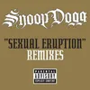 Sexual Eruption Dirty South Remix (Explicit)