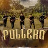 About El Pollero Song