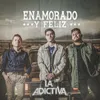 About Enamorado Y Feliz Song