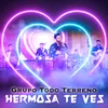 About Hermosa Te Ves Song
