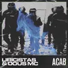 About A.C.A.B. Song