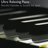 Piano Sonata No. 3 in B Minor, B 155. Op. 58: III. Largo