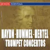 Concerto for Trumpet and Streicher No. 1 in E-Flat Major: III. Vivace