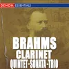 Quintet for Clarinet and String Quartet in B Minor, Op. 115: I. Allegro