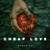 About Cheap Love Song