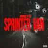 About Sprinter Van Song