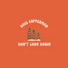 About Don't Look Down Song