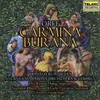 Orff: Carmina Burana: No. 19. Si puer cum puellula