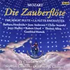 About Mozart: Die Zauberflöte, K. 620, Act II: Monolog. Morden soll ich? - Dialog. Woll soll ich tun? Song