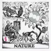 About Nature Song