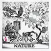 About Nature Stings3 Song