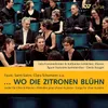 Brahms: Brahms: Im dunkeln Schoß