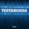 About Testarossa Song