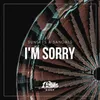 About I'm Sorry Song