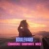 About Boulevard Song