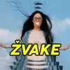 About Žvake Song