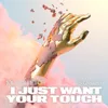 About I Just Want Your Touch Song