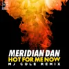 About Hot For Me Now MJ Cole Remix Song