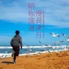 About Pei Ni Du Guo Man Chang Sui Yue - (" Pei An Dong Ni Du Guo Man Chang Sui Yue" Dian Ying Zhu Ti Qu) Song