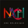 About Ame mélodique Radio Edit Song