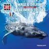 Wale & Delfine - Teil 03