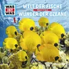 Welt der Fische - Teil 01