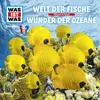 About Wunder der Ozeane - Teil 10 Song