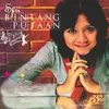 About Pelukis Pujaan Song